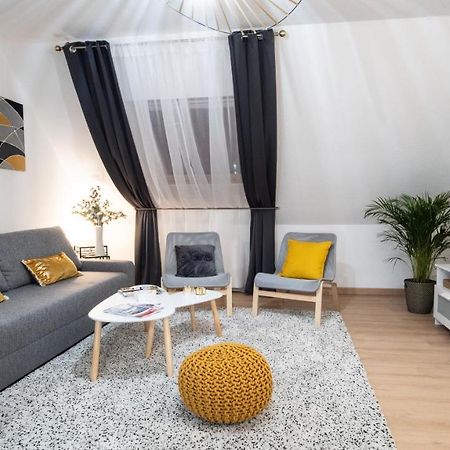 Superbe Appartement Au Coeur Du Colmar Dış mekan fotoğraf
