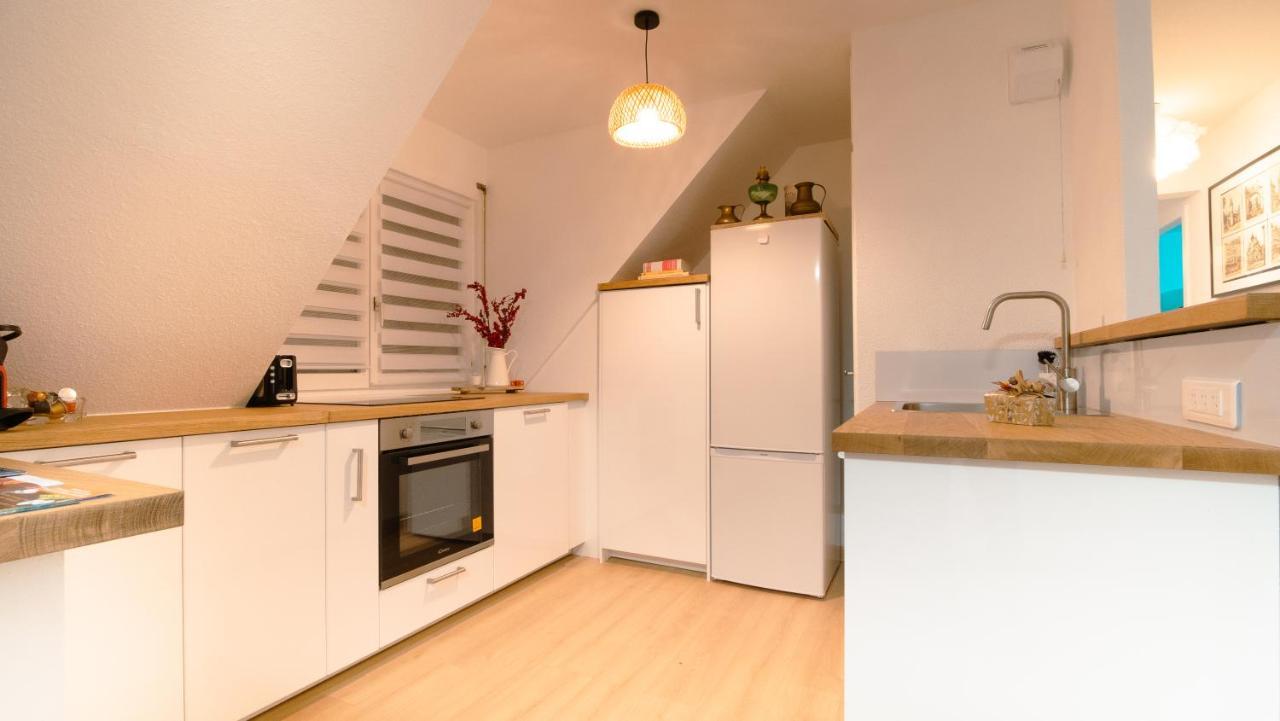 Superbe Appartement Au Coeur Du Colmar Dış mekan fotoğraf
