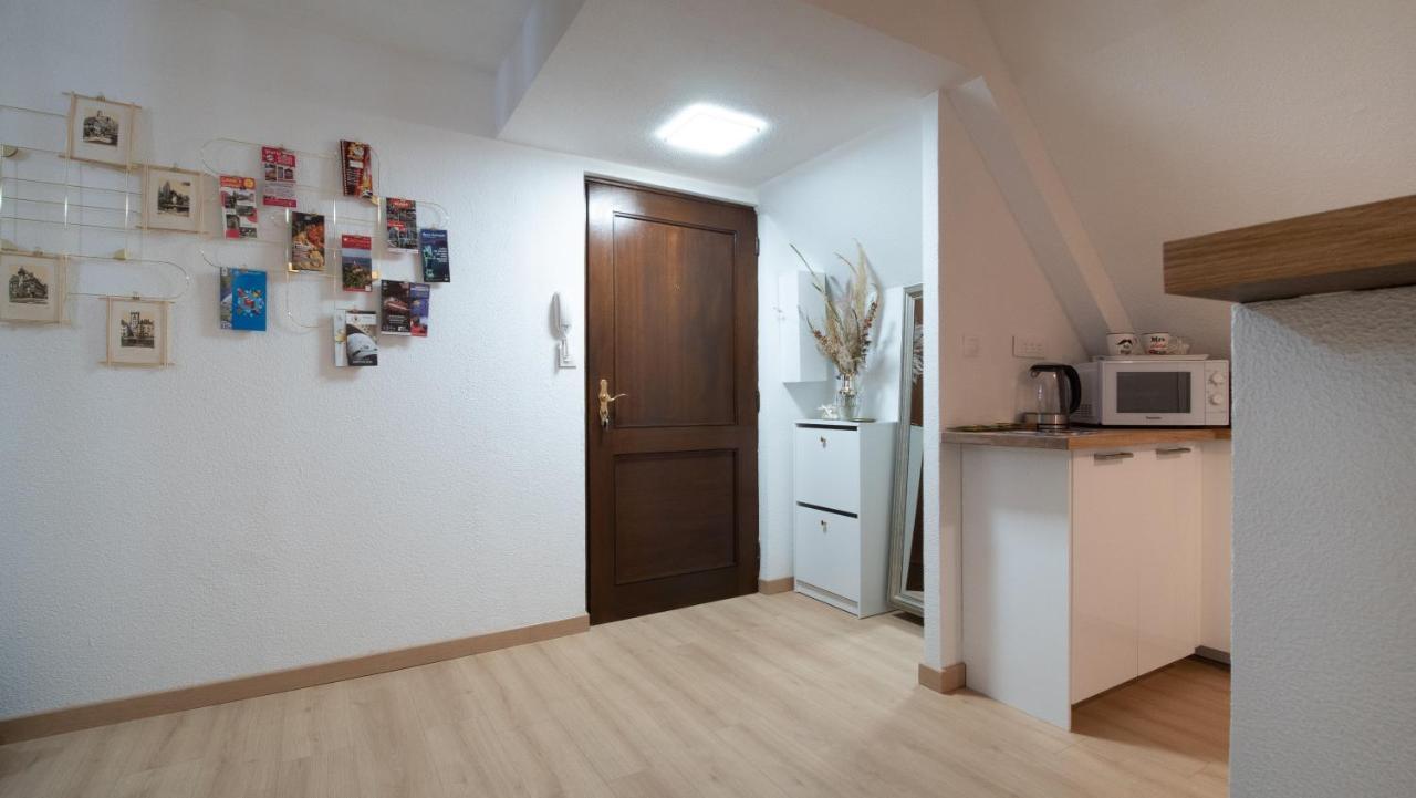 Superbe Appartement Au Coeur Du Colmar Dış mekan fotoğraf