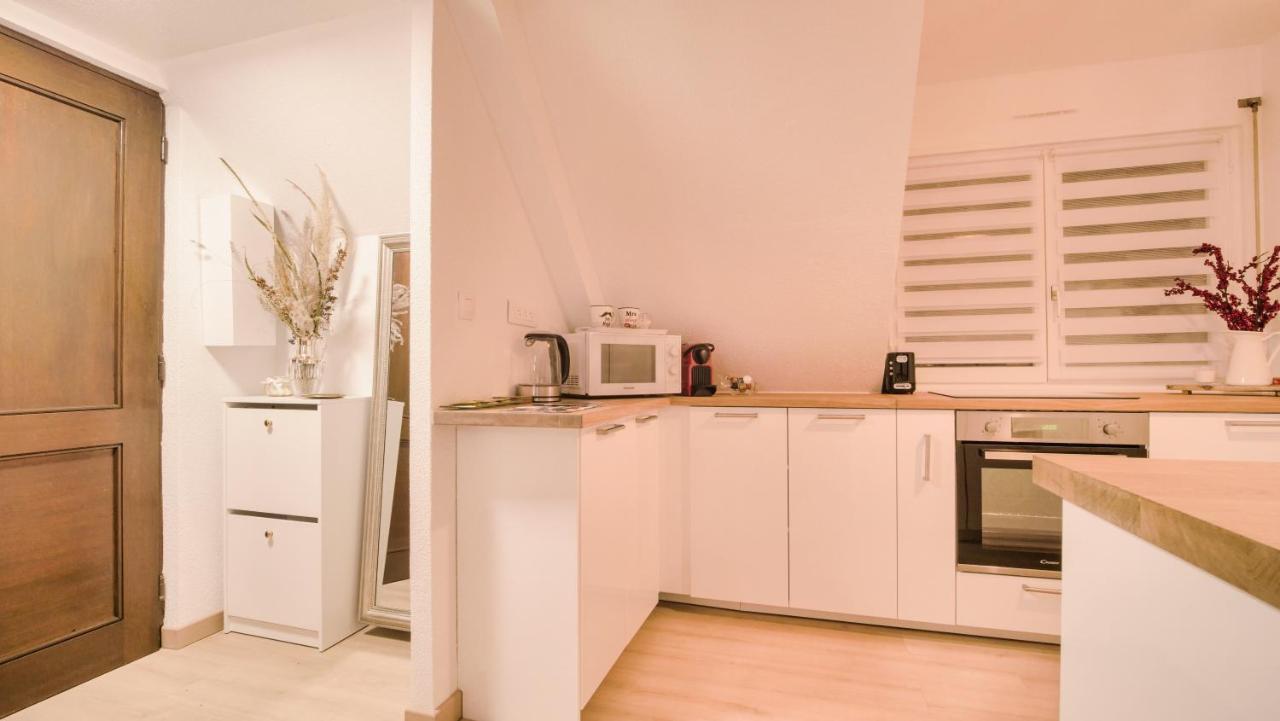 Superbe Appartement Au Coeur Du Colmar Dış mekan fotoğraf